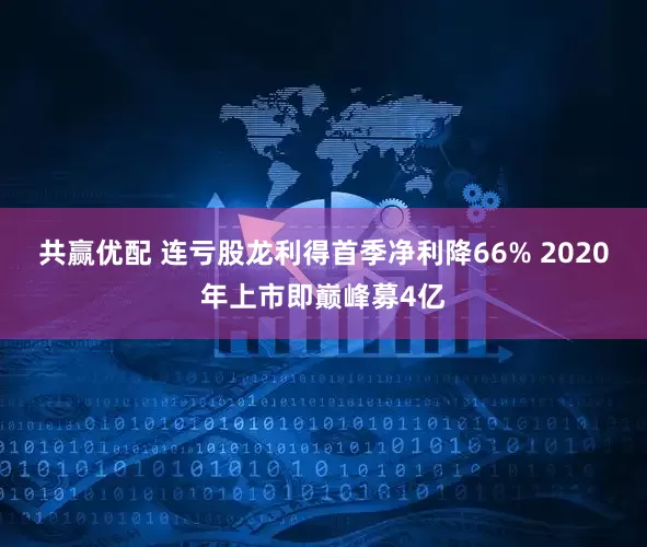 共赢优配 连亏股龙利得首季净利降66% 2020年上市即巅峰募4亿