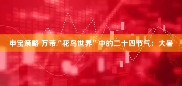 申宝策略 万芾“花鸟世界”中的二十四节气：大暑