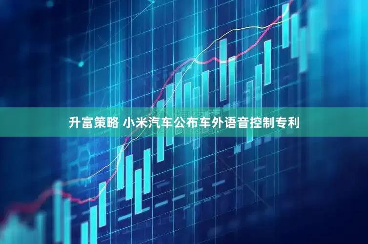 升富策略 小米汽车公布车外语音控制专利