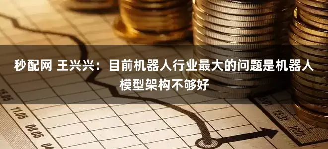 秒配网 王兴兴：目前机器人行业最大的问题是机器人模型架构不够好