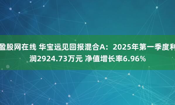 盈股网在线 华宝远见回报混合A：2025年第一季度利润2924.73万元 净值增长率6.96%