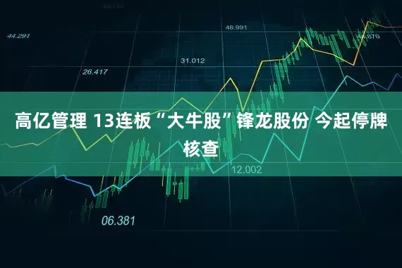 高亿管理 13连板“大牛股”锋龙股份 今起停牌核查