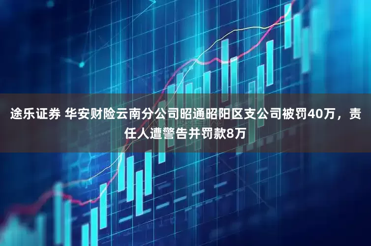 途乐证券 华安财险云南分公司昭通昭阳区支公司被罚40万，责任人遭警告并罚款8万